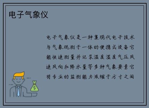 电子气象仪
